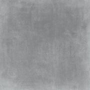 DAK81742.1-001 DAK81742.1-001