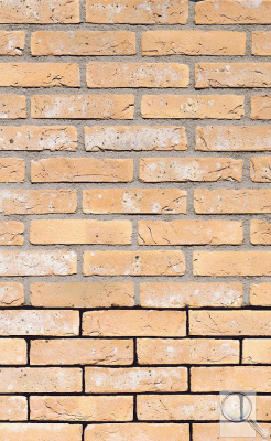 Lícová cihla FB 1311 L gesinteld (210 × 100 × 65 mm). obr. 1