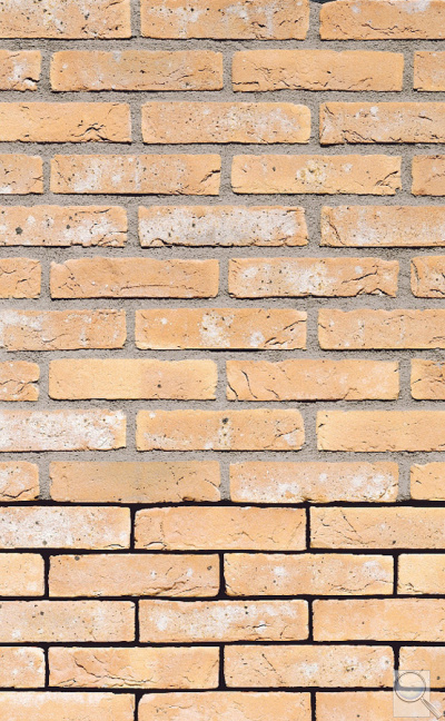 Lícová cihla FB 1311 L gesinteld (210 × 100 × 65 mm). obr. 1