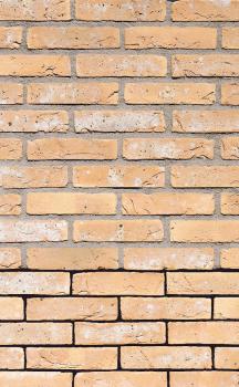 Lícová cihla FB 1311 L gesinteld (210 × 100 × 65 mm)