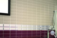 Chic Colors. koupelny-Chic-Colors-Bisel-10x20-ambiente-plata