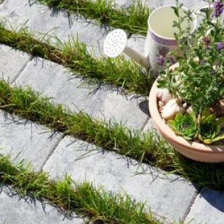 BEST - akvalines - 400X400__17_mg_5335_colormix_brilant - 