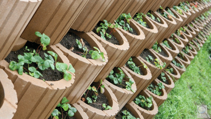 TIESTO CSB. povrch hladký - barva javor