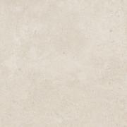 DAK63801.1-006 DAK63801.1-006
