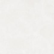 DAK81790.1-001 DAK81790.1-001