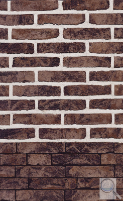 Lícová cihla FB 1130 Umber (210 × 100 × 50 mm). obr. 1