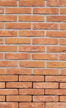 Lícová cihla FB 1123 Havanna (210 × 100 × 65 mm)