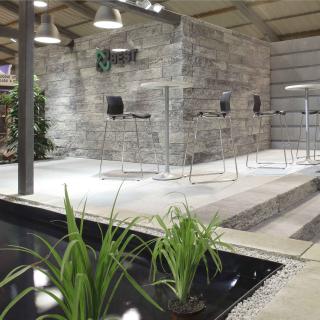 Best - Stone - _MG_1063-brilant - 