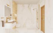 Sprchová zástěna Walk-in 120 cm SAT v barvě profilu zlatá lesk SATBWI120PRZ (obr. 5)