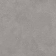 DAK81791.1-003 DAK81791.1-003