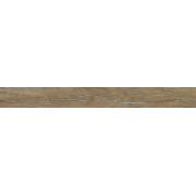EGTH-003 EGTH-003
