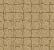 0009P101B203_AE03_HISTORI_01_OKR