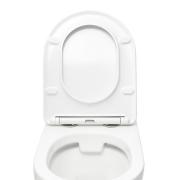 WC závěsné SAT Project bílá/lesk včetně sedátka softclose, zadní odpad SATWCPRO010RREXP. obr. 4 