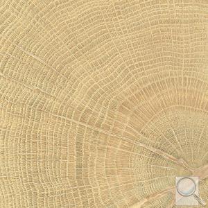 Dlažba Emil W-Circles oak béžová