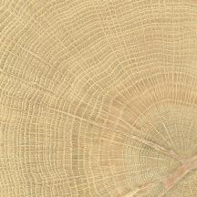 Dlažba Emil W-Circles oak béžová