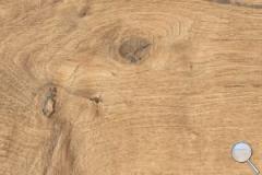 Dlažba Dom Signature Wood beige béžová - im-1200-DSW3020SA-011