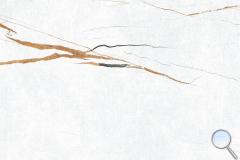 Dlažba Fineza Vision bílá - DAK63386.1-002