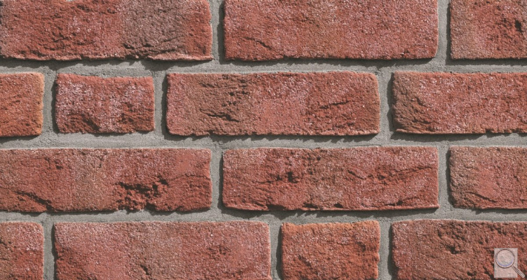 Lícový pásek NFP.35 Formback buntgeflammt. obr. 1