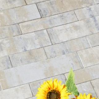 Best - Olympia - 400X400__17_mg_5282_olympia_colormix_arabica - 