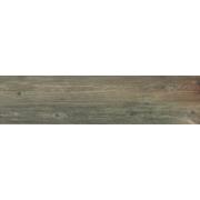 Dlažba Pastorelli Patina P castano hnědá. &nbsp;