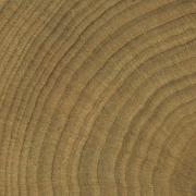 Dlažba Emil W-Circles walnut hnědá. &nbsp;