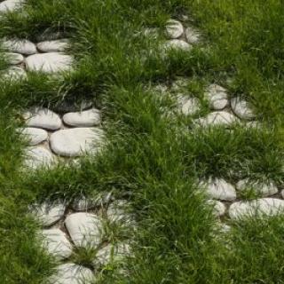 Best - Valea - 400X400___mg_4885 - 