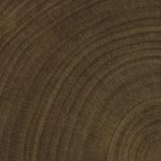 Dlažba Emil W-Circles wenge hnědá.