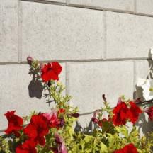 BEST - LUNETA - BEST_-_LUNETA_II__povrch_STANDARD__barva_prirodni - 